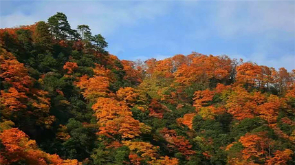 汉中龙头山国际旅游度假区第 93 张图片