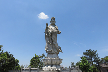 三百山景区第 56 张图片