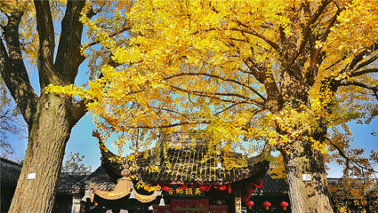 惠山古镇·寄畅园第 79 张图片