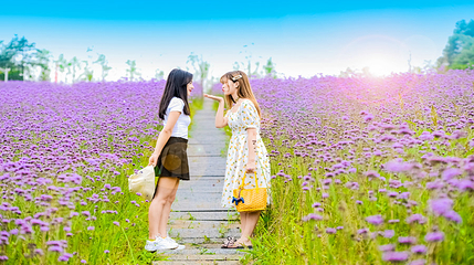 横山花仙谷第 7 张图片