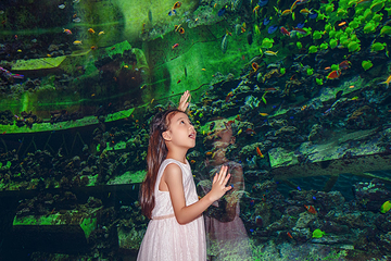 三亚亚特兰蒂斯失落的空间水族馆第 46 张图片