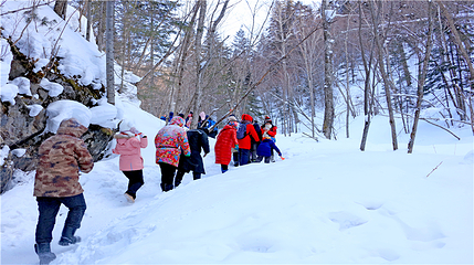 雪乡大雪谷第 44 张图片