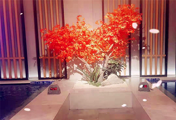 九星汤泉第 7 张图片