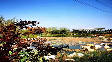 渭南植物园第 4 张图片