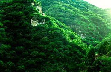 黑龙潭风景区第 45 张图片