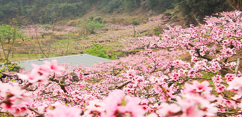 千峡湖生态旅游度假区第 81 张图片