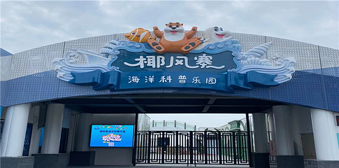 椰风寨第 13 张图片