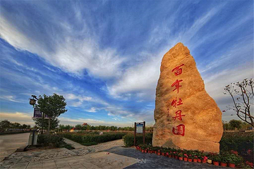 中国牡丹园第 7 张图片