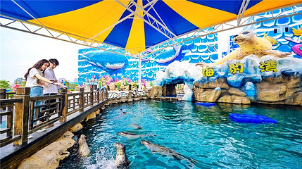 华夏文旅海洋公园第 25 张图片