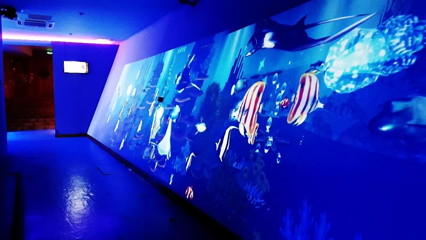 海错馆第 23 张图片