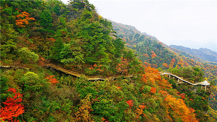 巴山大峡谷第 77 张图片
