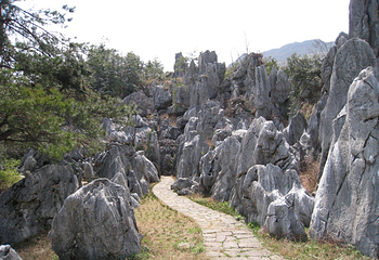 千岛湖石林景区第 29 张图片