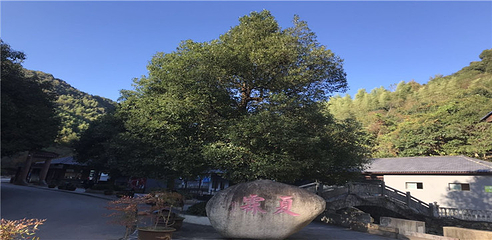 夏霖九天银瀑风景区第 5 张图片
