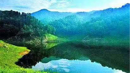 药乡国家森林公园第 1 张图片