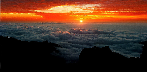 王莽岭风景区第 54 张图片