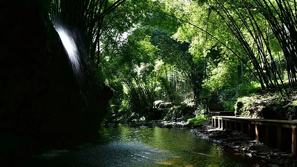 川西竹海景区第 15 张图片