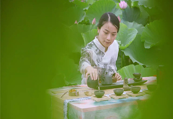 万亩荷塘第 19 张图片