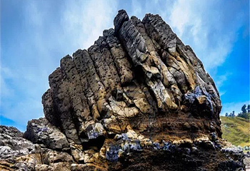 厦门湾·白塘湾火山公园第 132 张图片