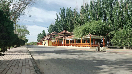丝绸之路莎车国家湿地公园第 3 张图片