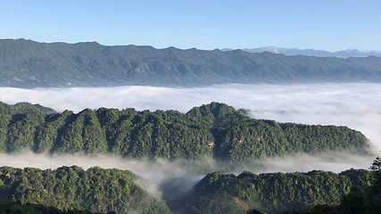 蒙顶山第 109 张图片