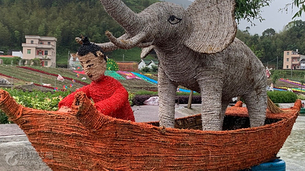 汕尾南万花海生态度假区第 2 张图片