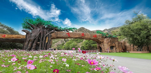 桑干河大峡谷旅游区第 11 张图片