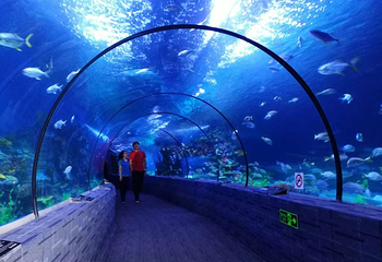 北海海底世界第 14 张图片