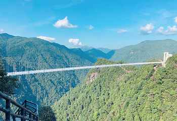 三百山景区第 49 张图片