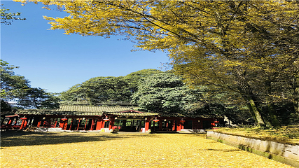 蒙顶山第 71 张图片