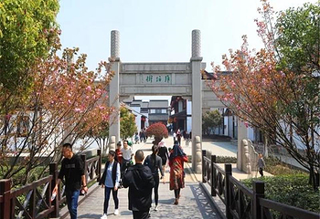 苏州江南农耕文化园第 18 张图片