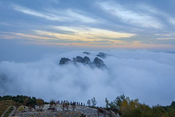 王莽岭风景区第 23 张图片