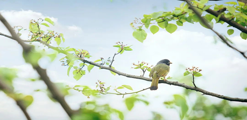 茅山东方盐湖城第 346 张图片