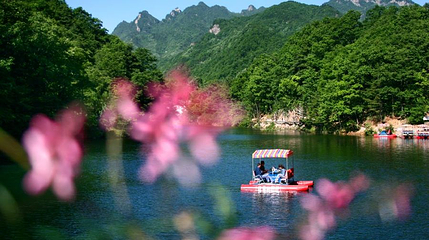 嵩县天池山国家森林公园第 1 张图片