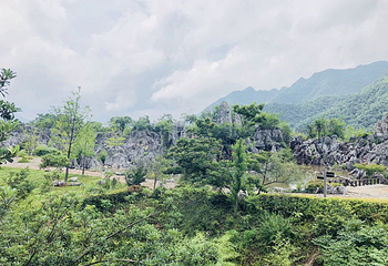 千岛湖石林景区第 33 张图片
