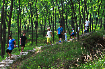 跑马岭生态休闲度假区第 14 张图片