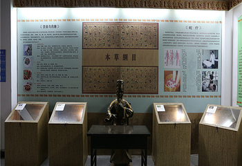 武夷蛇博园第 7 张图片