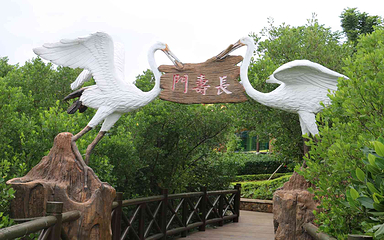 富力红树湾湿地公园第 49 张图片