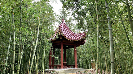 瀛东村第 7 张图片