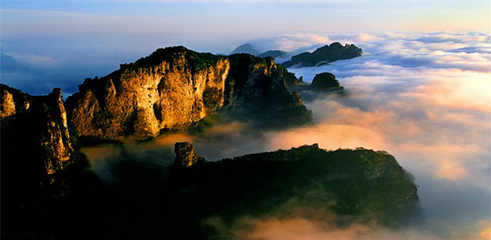 王莽岭风景区第 8 张图片