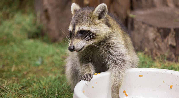 塔高海洋萌宠馆