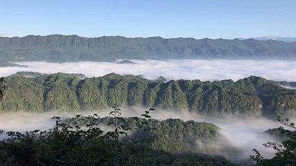 蒙顶山第 97 张图片