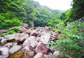 天目大峡谷第 17 张图片