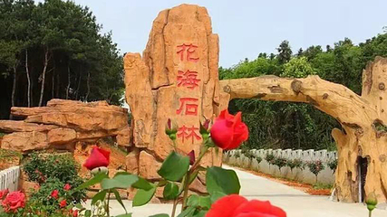 武汉市花海石林风景区第 7 张图片