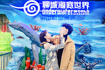 聊城海底世界第 37 张图片