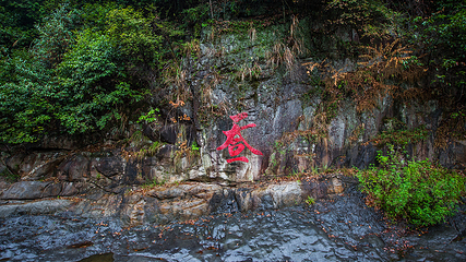 婺源石门峡山野秘境第 24 张图片