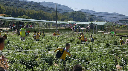耕山小寨欢乐农场第 13 张图片