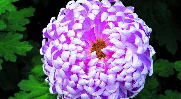 莲花湖国家城市湿地公园