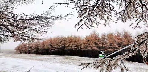 万龙滑雪场第 219 张图片