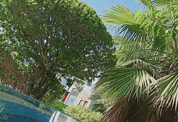 金谷温泉第 22 张图片