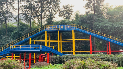 重庆动物园第 101 张图片